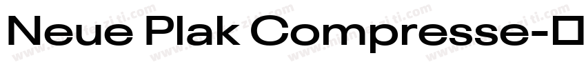 Neue Plak Compresse字体转换